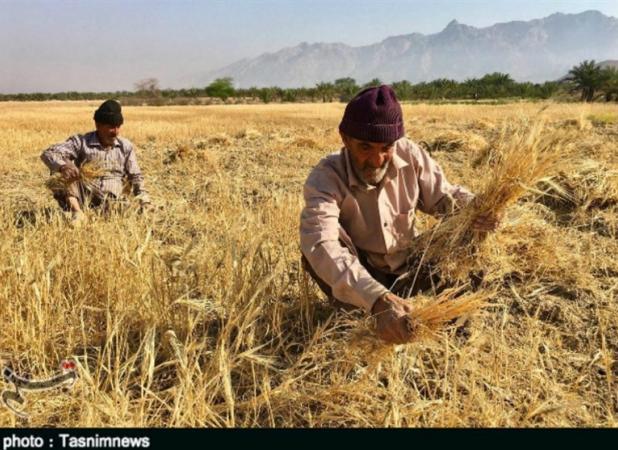 مصوبه مجلس برای حمایت از کشاورزان و تولیدکنندگان