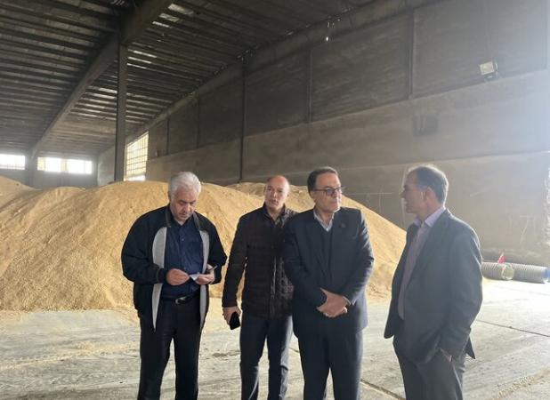 گشایش ارزی ۱.۷ میلیون دلاری برای نهاده‌های دامی/آغاز ورود نهاده‌ها به استان مرکزی