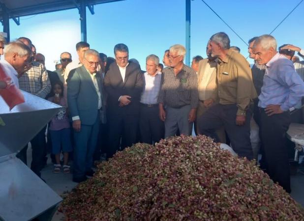 ترمینال فرآوری و بسته‌بندی پسته در اسفراین به بهره‌برداری رسید