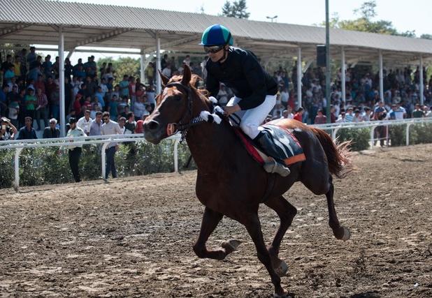 آغاز هفته هفتم مسابقات اسبدوانی کورس پاییزه - زمستانه گنبدکاووس از چهارشنبه سوم دی