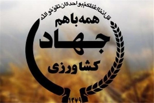 مدیر جدید جهاد کشاورزی خرم‌آباد معرفی شد