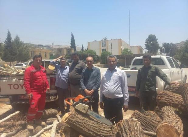بازداشت ۱۰۱ متخلف در زمینه قطع درخت و قاچاق چوب در کهگیلویه و بویراحمد