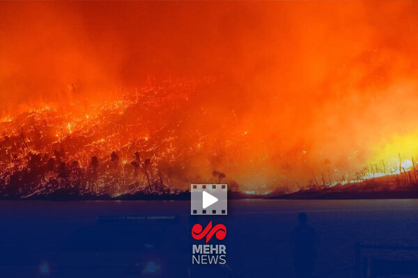 آتش‌سوزی جنگلی در «نیوجرسی» آمریکا؛ دستور تخلیه صادر شد