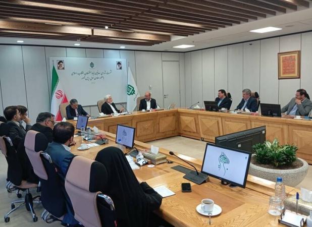 عارف: بنیاد مستضعفان رقیب دولت نیست