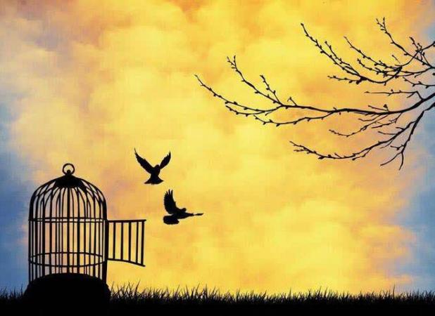 بانوی یزدی ۱۰۰ میلیون به آزادی زندانیان جرائم غیرعمد کمک کرد