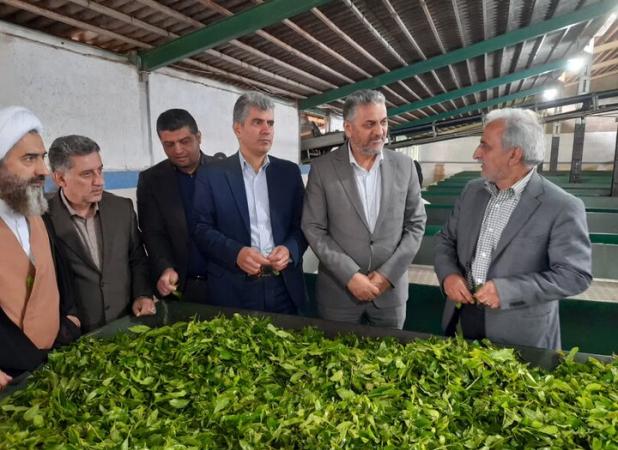 حمایت از تولیدکننده جز اولویت دولت چهاردهم است