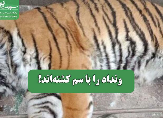 ونداد را با سم کشته‌اند!