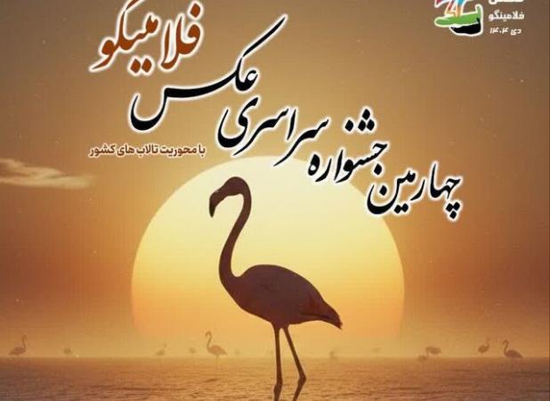 فلامینگوها در قاب هنر/ پوستر جشنواره‌ای برای حفاظت از میانکاله رونمایی شد