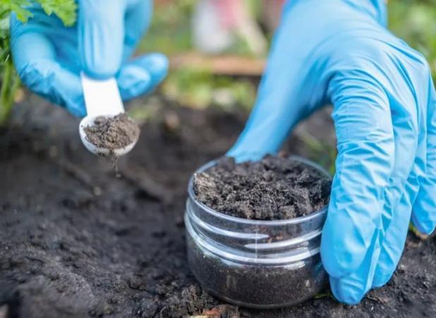 کشف آنتی‌بیوتیکی جدید علیه باکتری‌های شکست‌ناپذیر