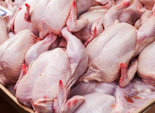 خرید حمایتی ۳۰۰ تن مرغ از تولیدکنندگان خراسان رضوی