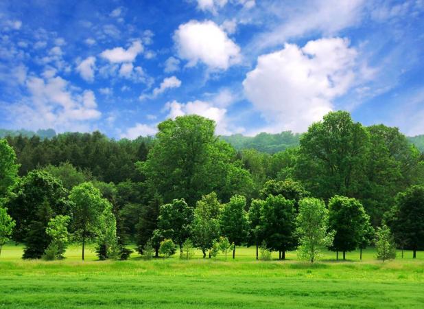 تخریب پارک‌های ملی با هدف  درآمدزایی نورچشمی‌ها
