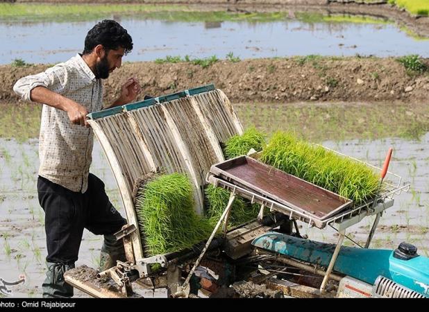 «آنتی‌تحریم» ــ ۱|۴۰ ظرفیت بی‌نظیر توسعه کشاورزی ایران