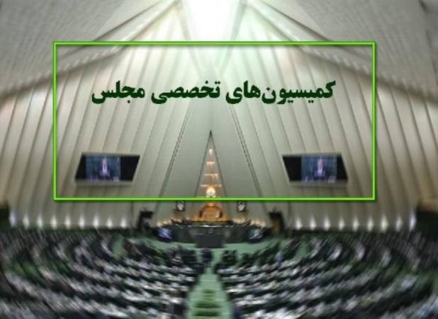 بررسی طرح ساماندهی کارکنان دولت و طرح شفافیت قوای سه‌گانه در دستور کار کمیسیون‌های مجلس