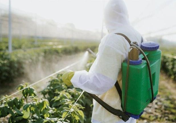 تضمین سلامت محیط‌زیست با تولید آفت‌کش‌های گیاهی نانومقیاس