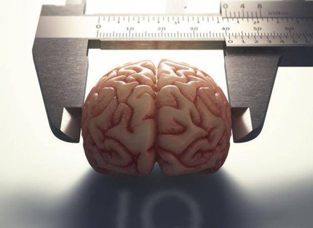 وقتی ضریب هوشی بر شنوایی غلبه می‌کند!