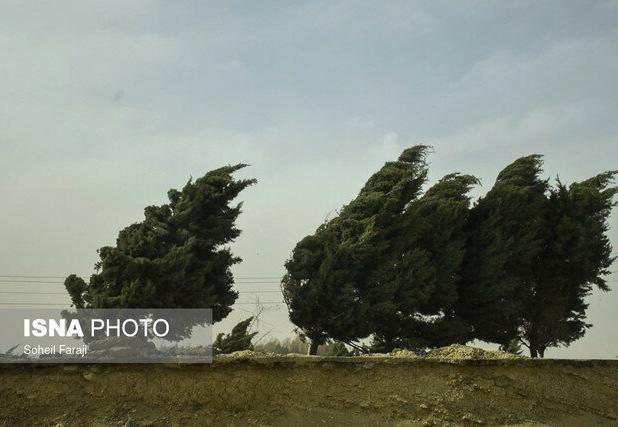 بارش ۵۹ میلی متری در کیاشهر؛ پایداری هوا تا اواسط هفته