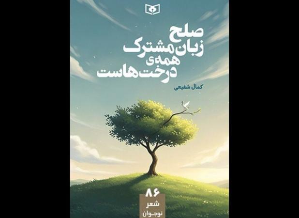 مجموعه‌شعری برای نوجوان‌ها؛ شعر نوجوان کم‌مخاطب نیست، کودکانه است!