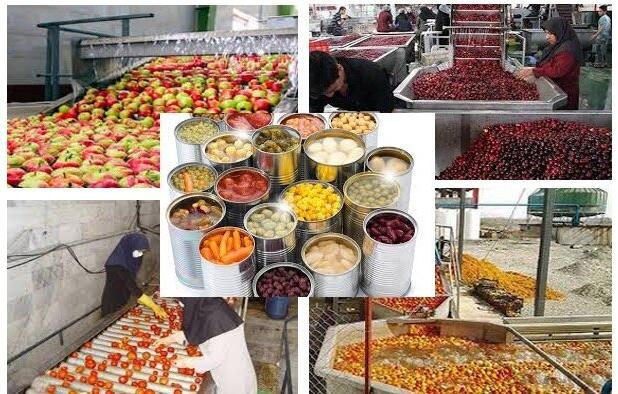 ظرفیت فرآوری بیش از ۵ میلیون تن محصول خام کشاورزی در همدان