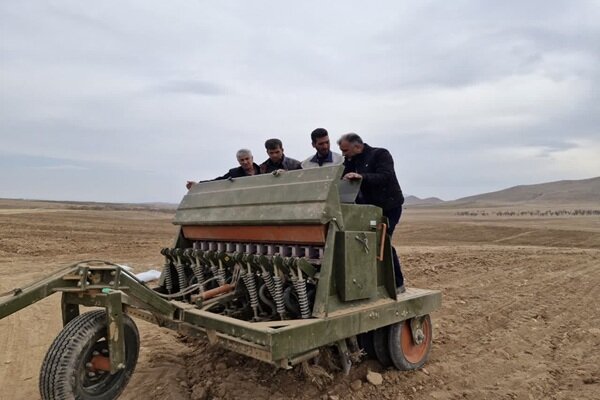 آغاز کشت علوفه دیم در چهارمحال و بختیاری