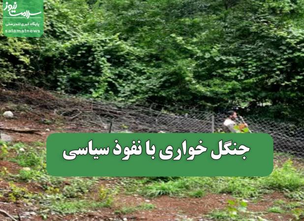 جنگل خواری با نفوذ سیاسی