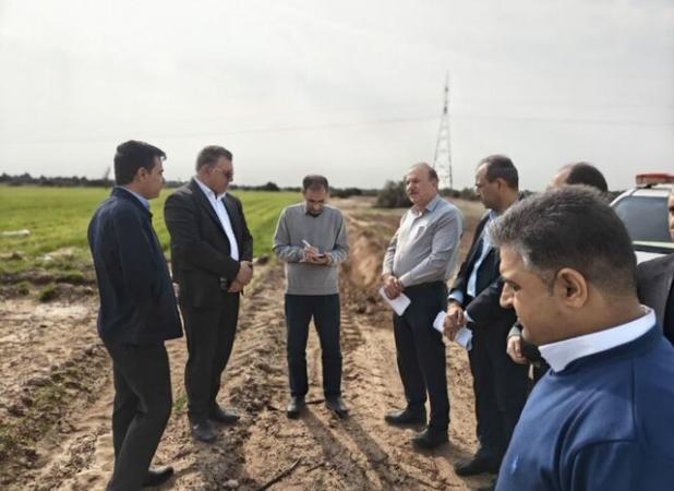 بازدید ملی برای تأیید نهایی کشاورزان نمونه کشوری در دهلران