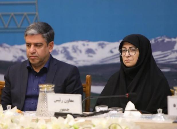 انصاری: رویکردهای زیست‌محیطی در سیاستگذاری‌های توسعه الزامی است