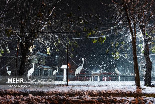 بارش برف در اشکورات رودسر آغاز شد