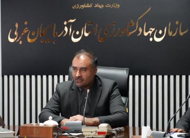 اصغری:۳۱هزار رأس دام آذربایجان غربی زیرپوشش طرح افزایش تولید قرار گرفت