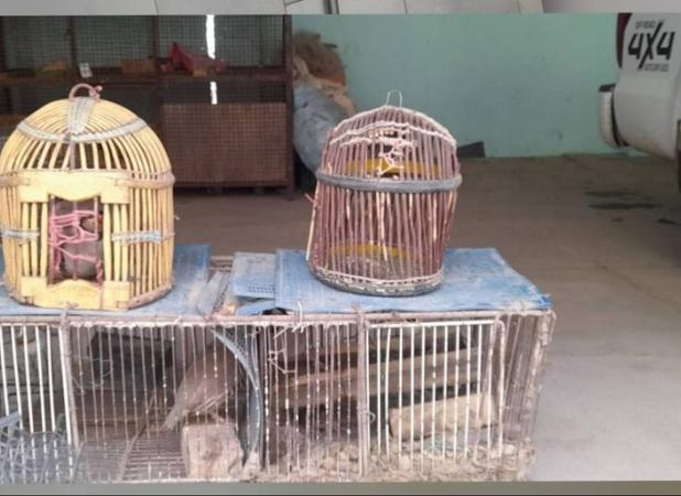 دستگیری شکارچی متخلف در کامیاران؛ کشف ۴ قطعه کبک از متهم