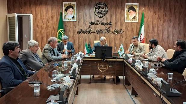 رئیس جهاد کشاورزی استان: سالانە ۳۵۰ هزار تن سیب‌زمینی در کردستان تولید می‌شود