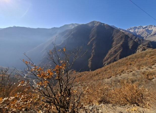 بازدید نمایندگان مجلس از مناطق آسیب‌دیده آتش‌سوزی جنگل‌های الیت