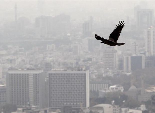 سرمایه‌گذاران مسکن قهر کرده‌اند؟ گزارش تسنیم از موانع تولید