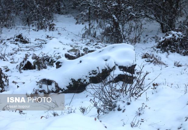 بارش برف در ارتفاعات مراغه و سونگون/ هریس سردترین شهر آذربایجان‌ شرقی