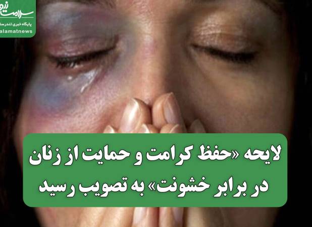 لایحه «حفظ کرامت و حمایت از زنان در برابر خشونت» به تصویب رسید