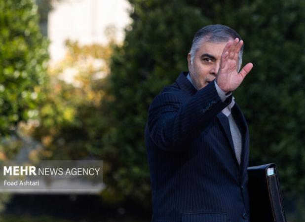 پاک نژاد: ممکن است «شورای عالی انرژی» تشکیل شود