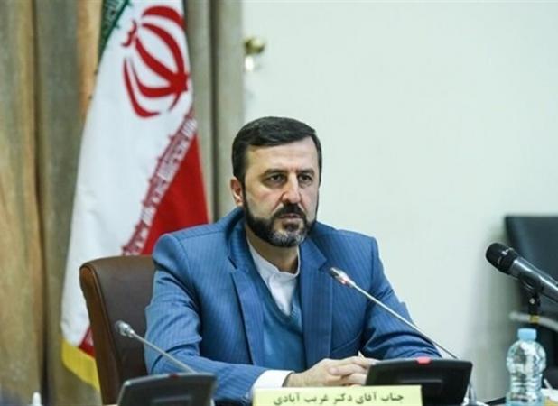 غریب آبادی: اظهارات گروسی تعرض آشکار به حقوق کشورها است