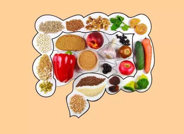 رژیم پرچرب؛ دشمن خاموش سیستم ایمنی روده