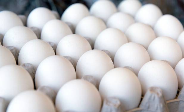 کشف حدود ۳۰ هزار تخم‌مرغ فاقد مجوز در سیاهکل