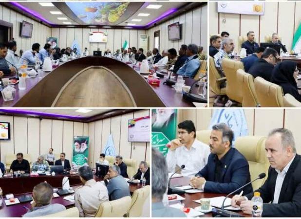 مدیرکل شیلات بوشهر: هیچ‌ اغماضی در برخورد با صید غیرمجاز نخواهیم داشت