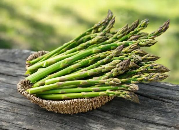 گیاه لوکس «مارچوبه» به سبد تولیدات کشاورزی همدان اضافه می‌شود