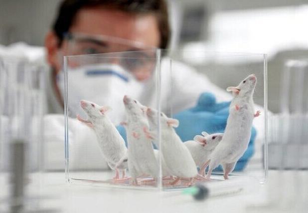 روایت اعتراض محلی که به تولد یک جریان تازه پژوهشی ختم شد