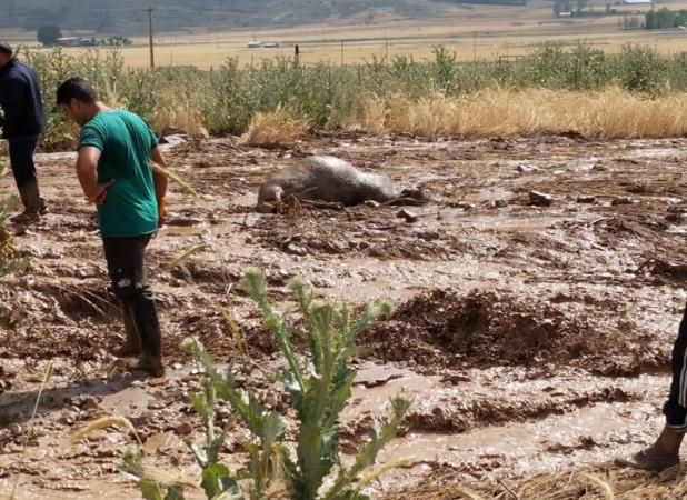 سیل در روستا اینچه علیا شهرستان مانه