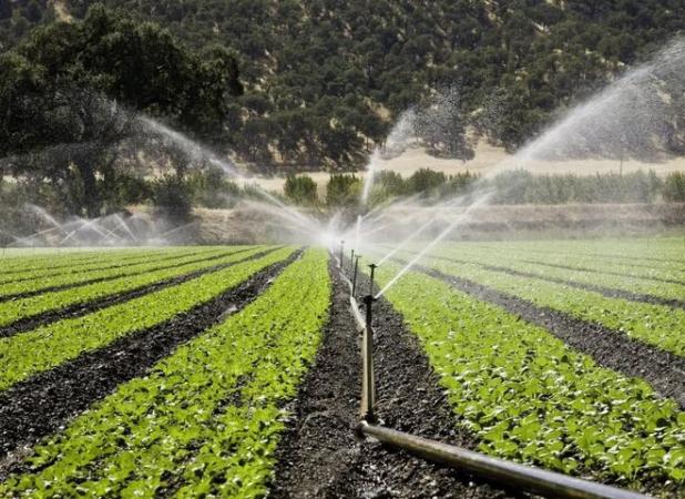 طرح جامع آب و خاک در روستای شورکا جویبار اجرا شد