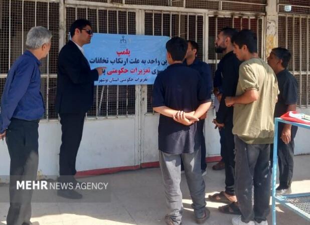 یک واحد صنفی متخلف در دشتی پلمب شد