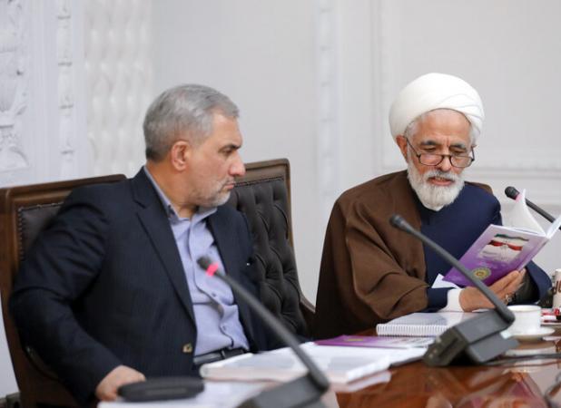 انصاری: آسیب‌شناسی نحوه اجرای قانون اساسی از مهمترین موضوعات است