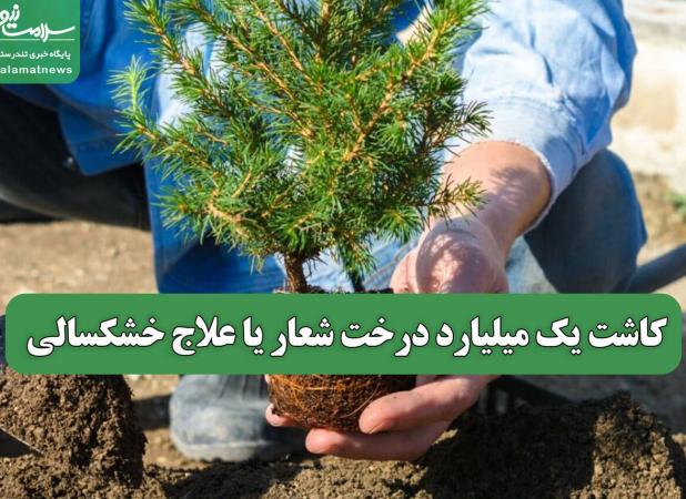 کاشت یک میلیارد درخت شعار یا علاج خشکسالی
