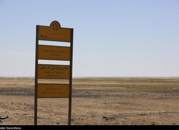 خشکی تالاب‌ها از دلایل اصلی تشدید گردوغبار/ تداوم طوفان ریزگرد در تابستان جاری