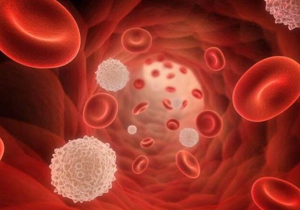 افت گلبول سفید خون، زنگ خطر سلامت بدن