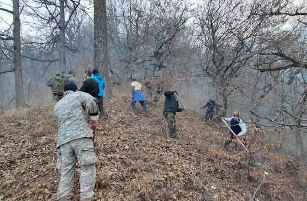 عملیات اطفای حریق در دل جنگل الیت