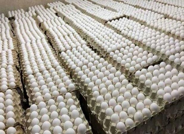 جریمه بیش از ۵ میلیارد ریال برای شرکت توزیع تخم مرغ در مشهد